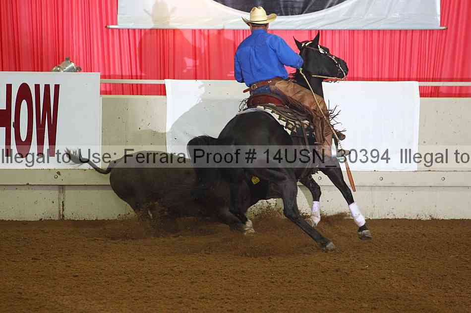 Proof 14usn_30394