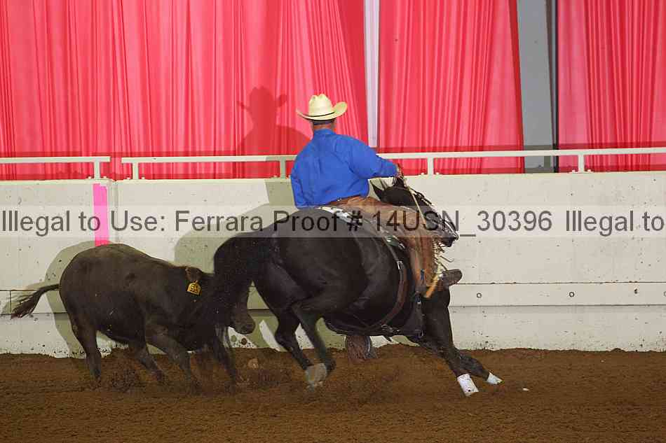 Proof 14usn_30396