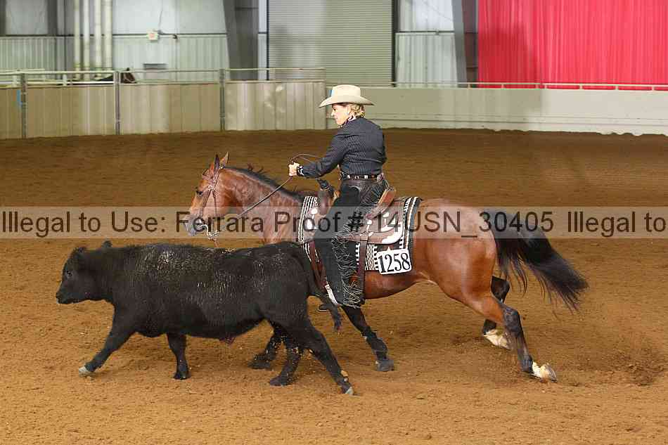 Proof 14usn_30405