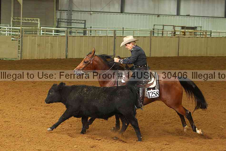 Proof 14usn_30406