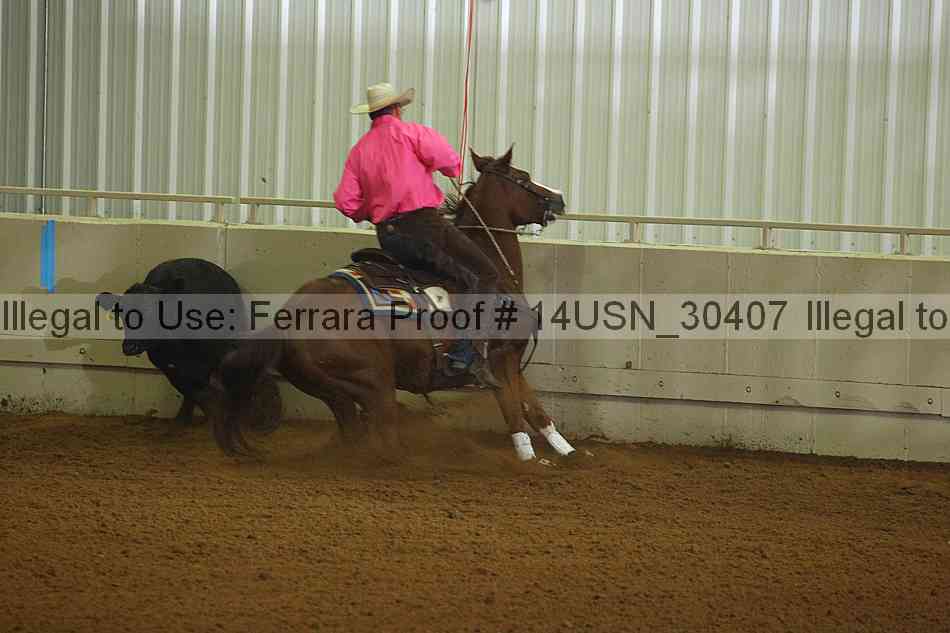 Proof 14usn_30407