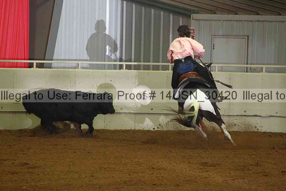 Proof 14usn_30420