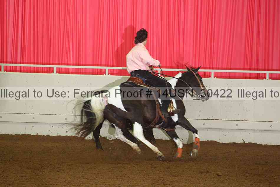 Proof 14usn_30422