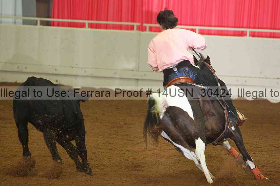 Proof 14usn_30424
