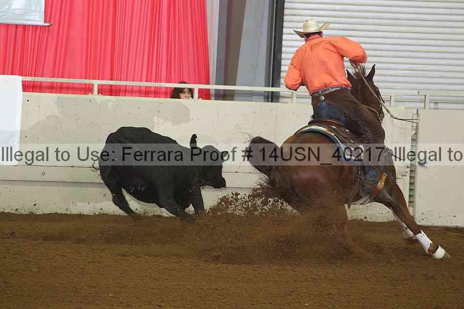 Proof 14usn_40217