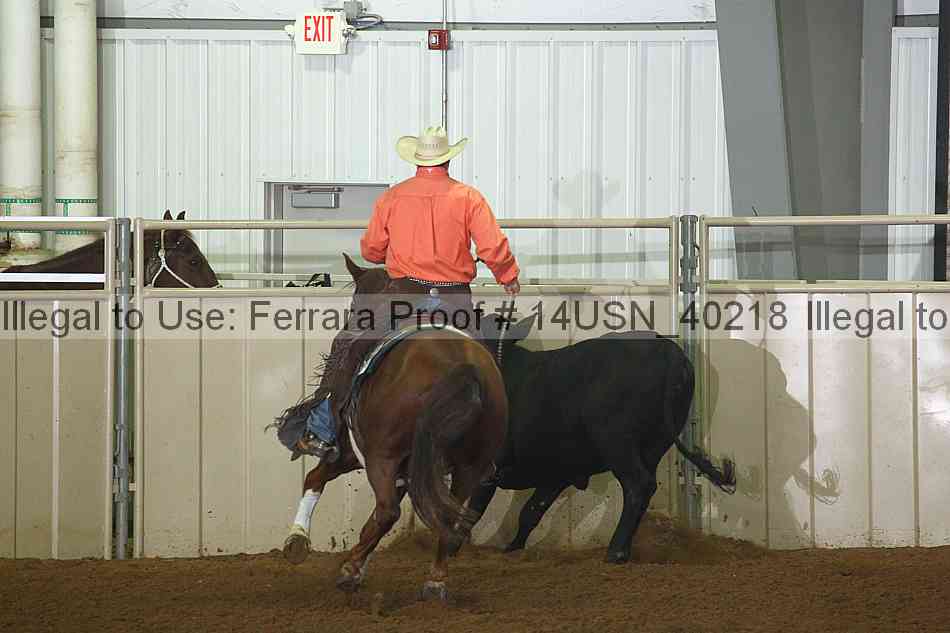 Proof 14usn_40218