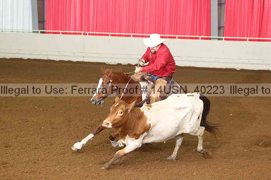 Proof 14usn_40223