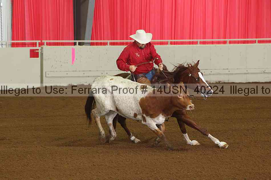 Proof 14usn_40224