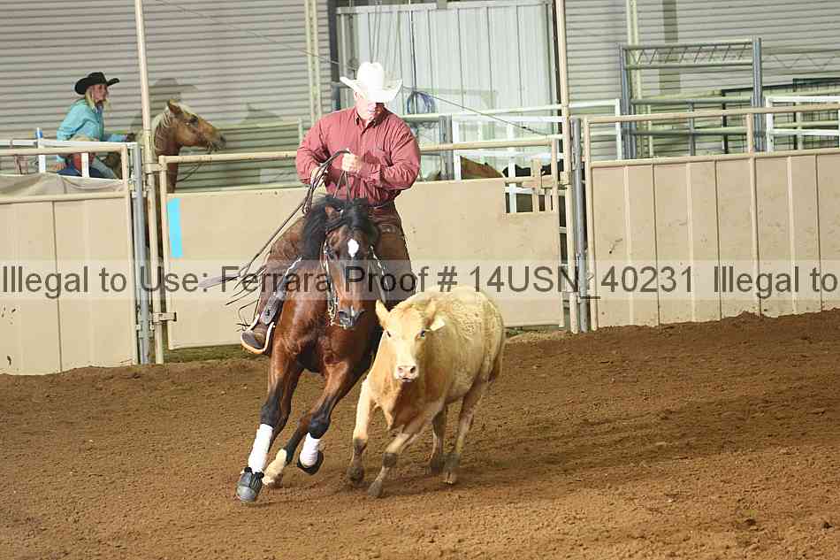 Proof 14usn_40231