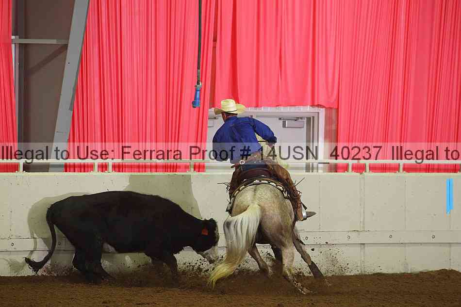 Proof 14usn_40237