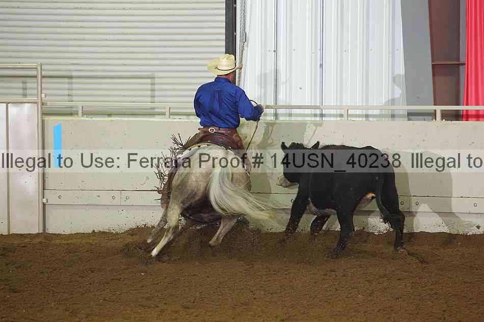 Proof 14usn_40238