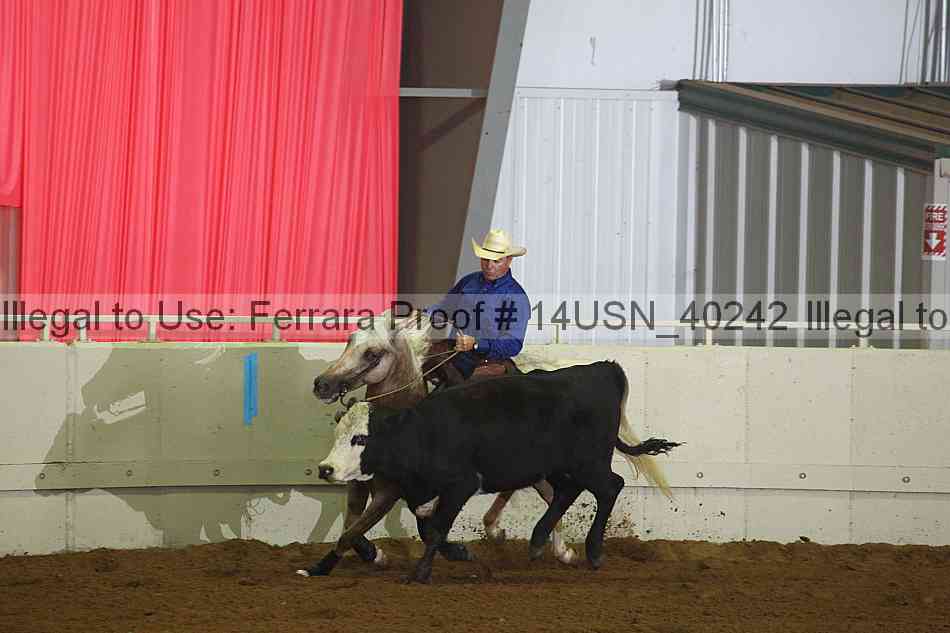 Proof 14usn_40242
