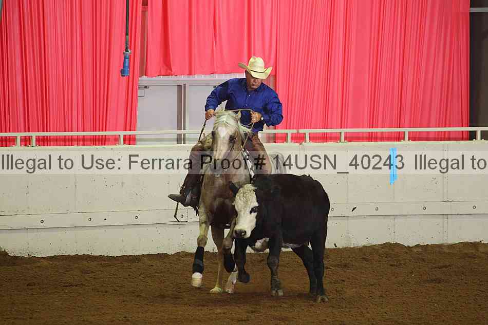 Proof 14usn_40243