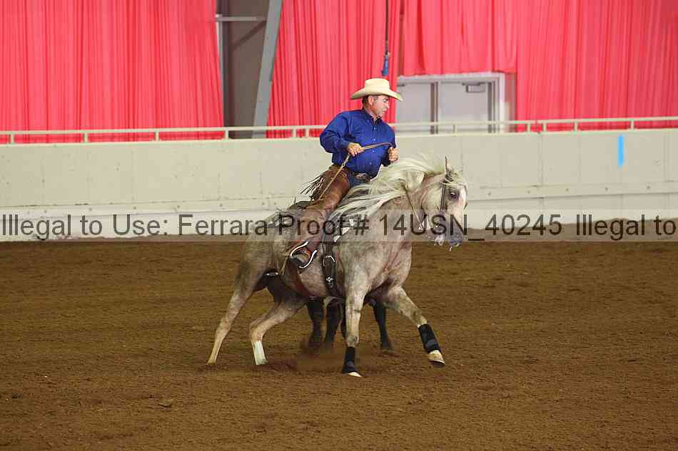 Proof 14usn_40245