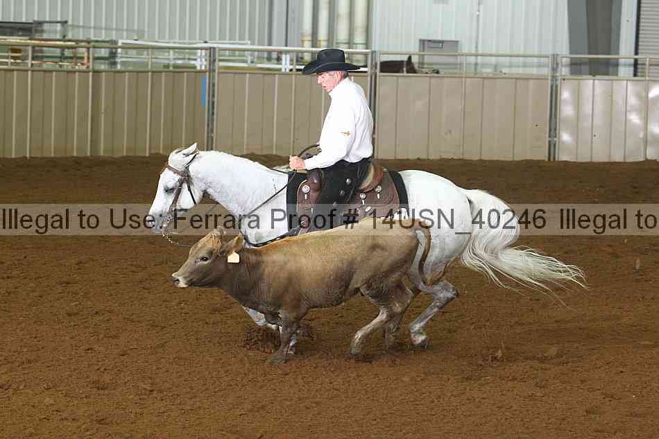 Proof 14usn_40246