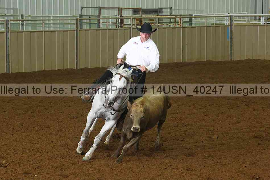 Proof 14usn_40247