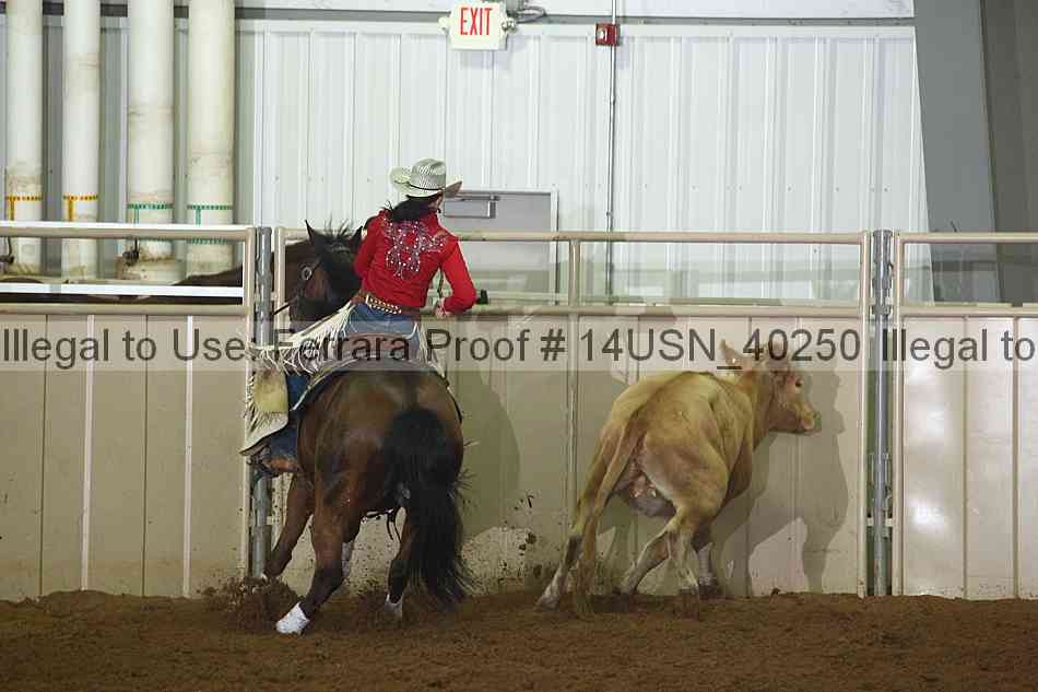Proof 14usn_40250