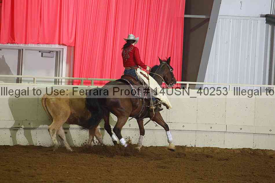 Proof 14usn_40253