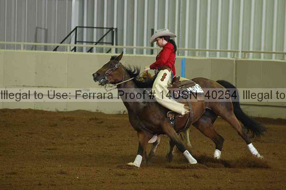 Proof 14usn_40254