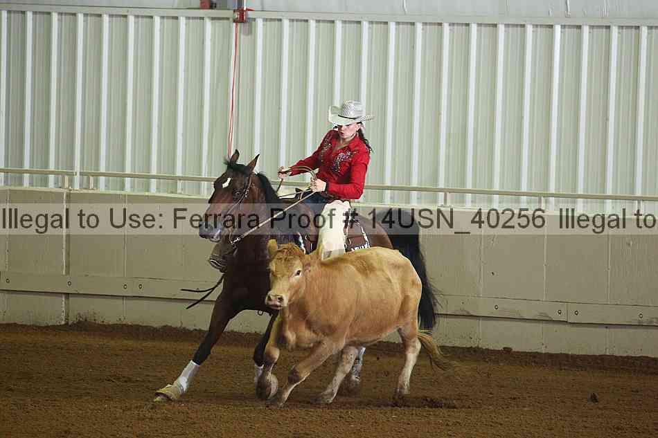 Proof 14usn_40256