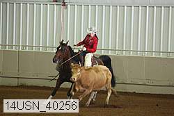 14usn_40256 proof