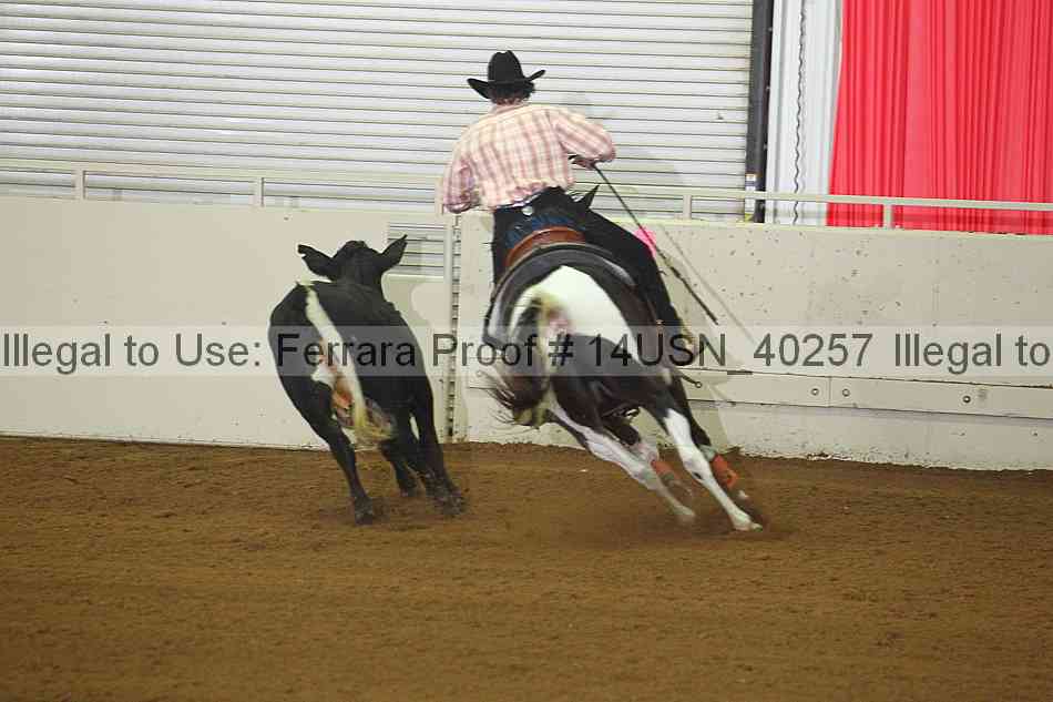 Proof 14usn_40257