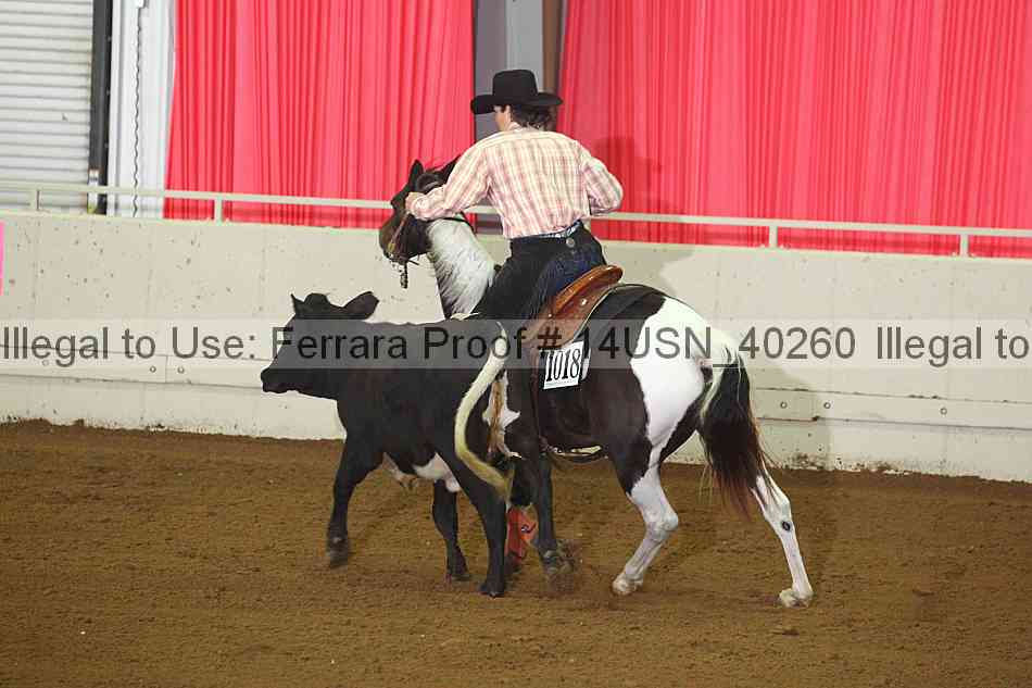 Proof 14usn_40260