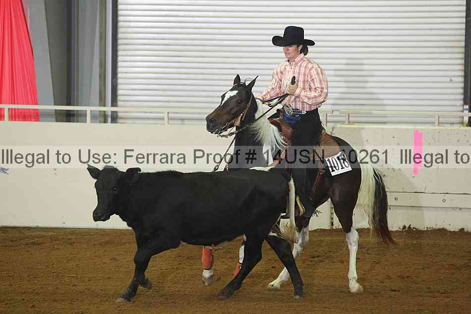 Proof 14usn_40261