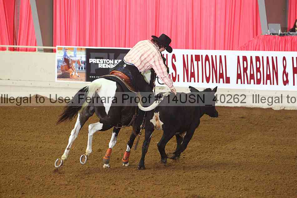 Proof 14usn_40262