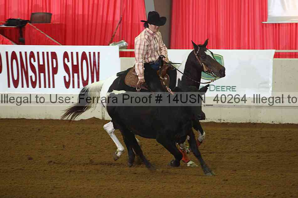 Proof 14usn_40264