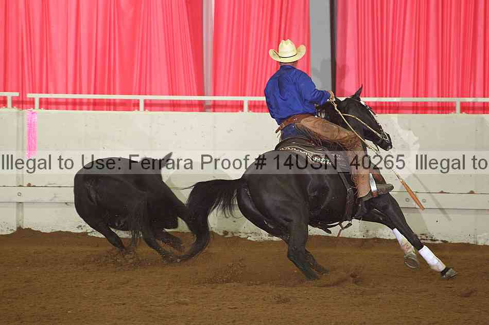 Proof 14usn_40265