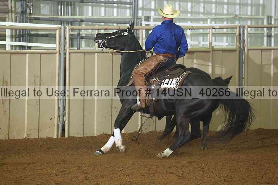 Proof 14usn_40266