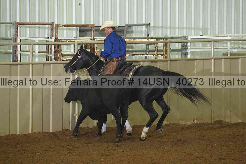 Proof 14usn_40273