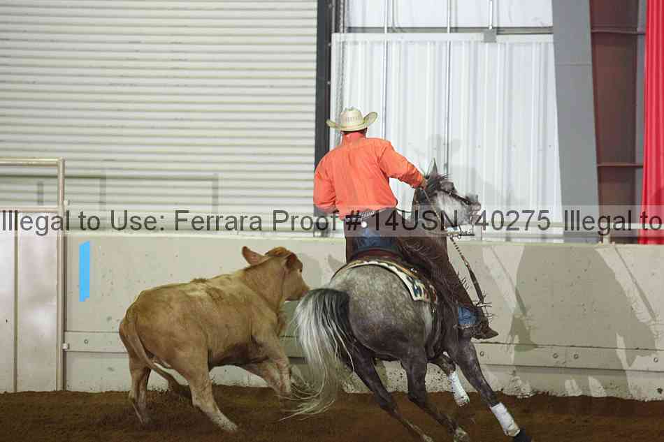 Proof 14usn_40275