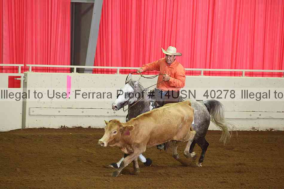 Proof 14usn_40278