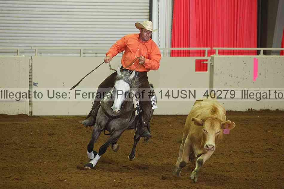 Proof 14usn_40279