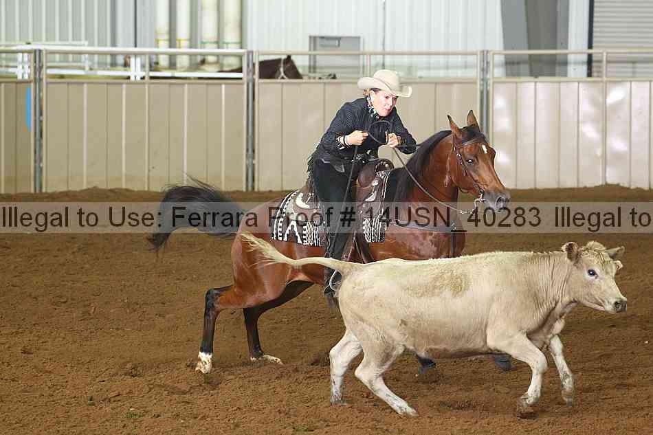 Proof 14usn_40283