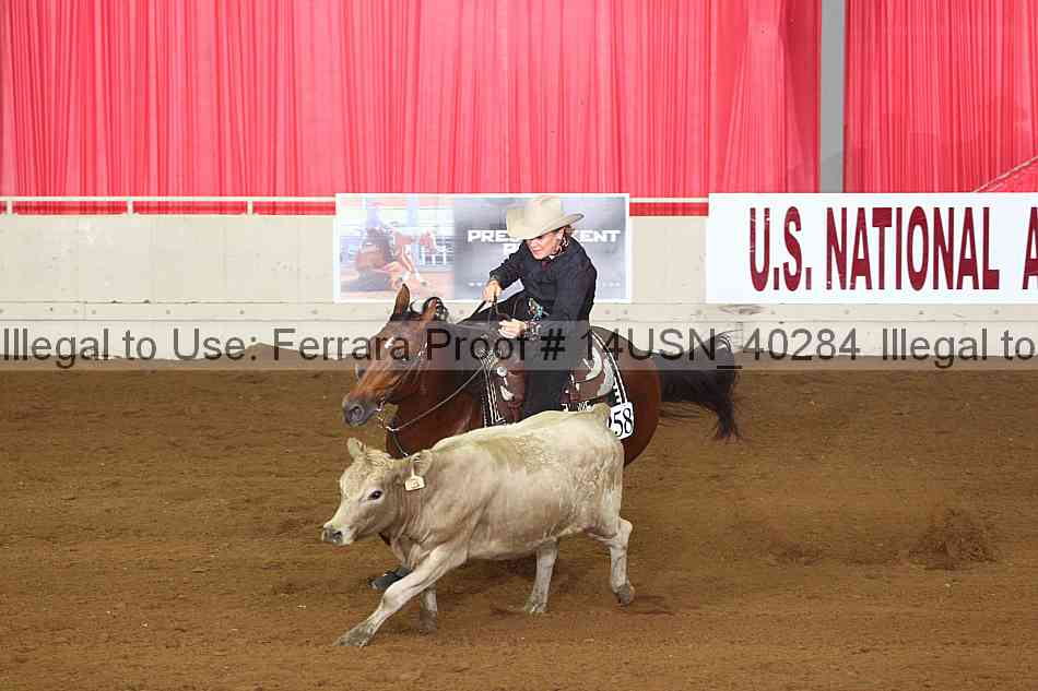 Proof 14usn_40284