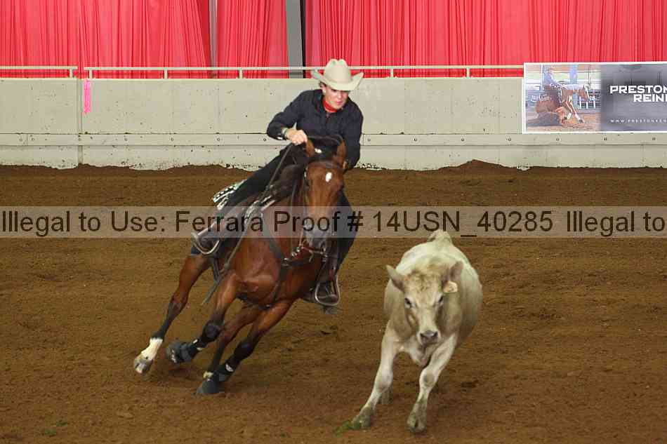 Proof 14usn_40285