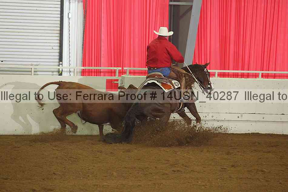 Proof 14usn_40287