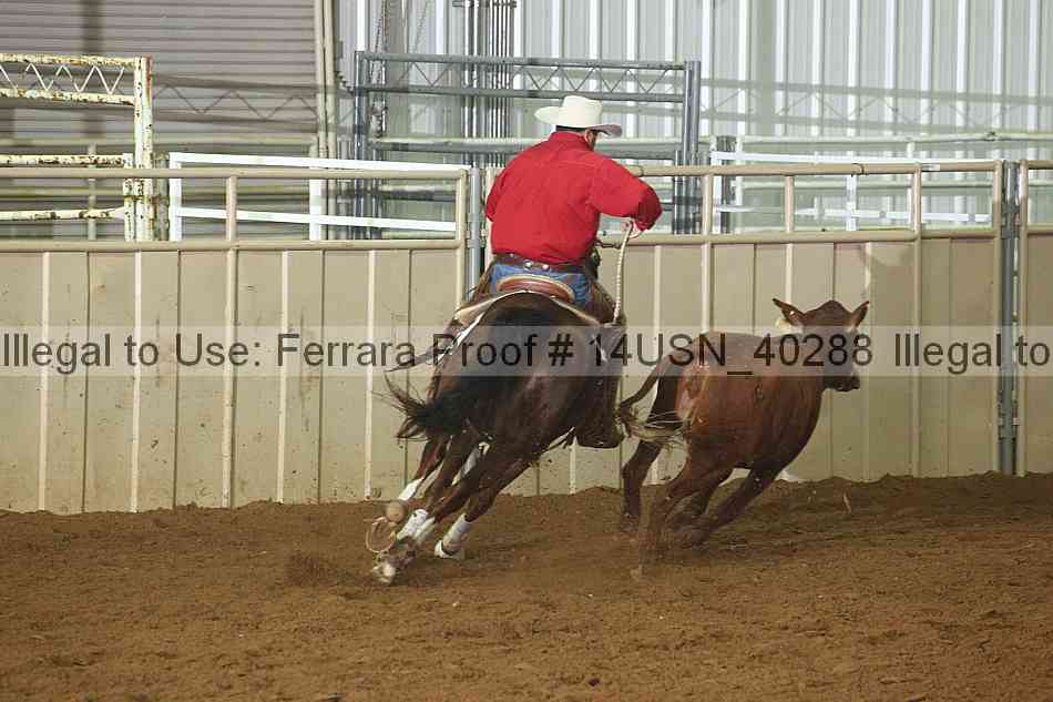 Proof 14usn_40288