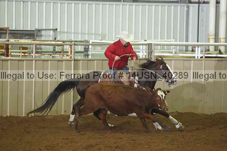 Proof 14usn_40289
