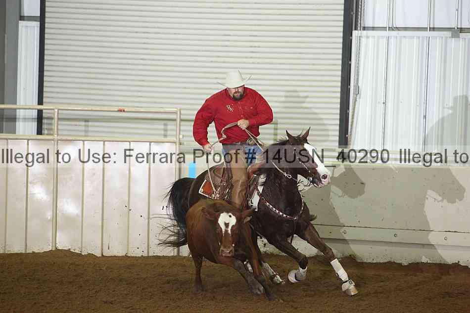 Proof 14usn_40290