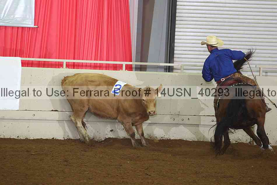 Proof 14usn_40293