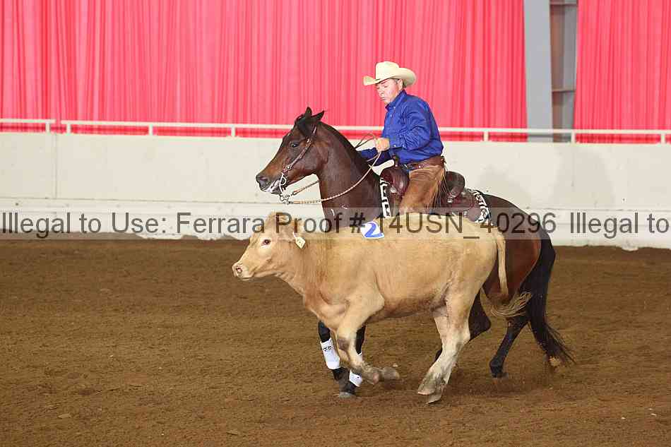 Proof 14usn_40296