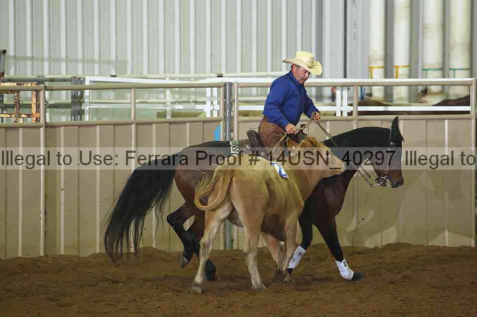 Proof 14usn_40297