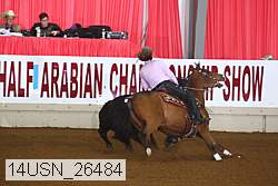 14usn_26484 proof