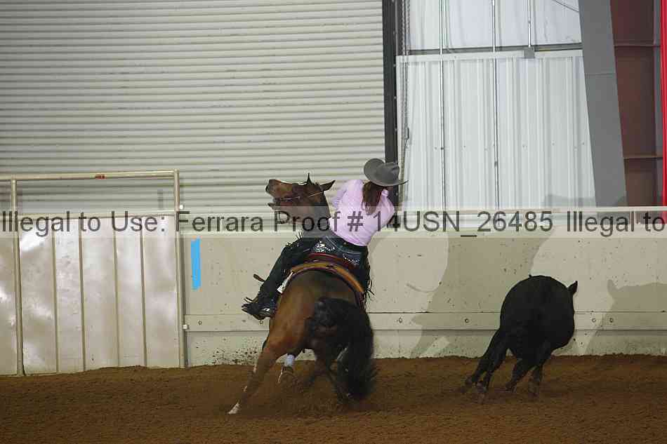Proof 14usn_26485