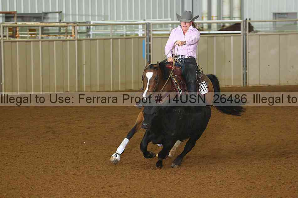 Proof 14usn_26486