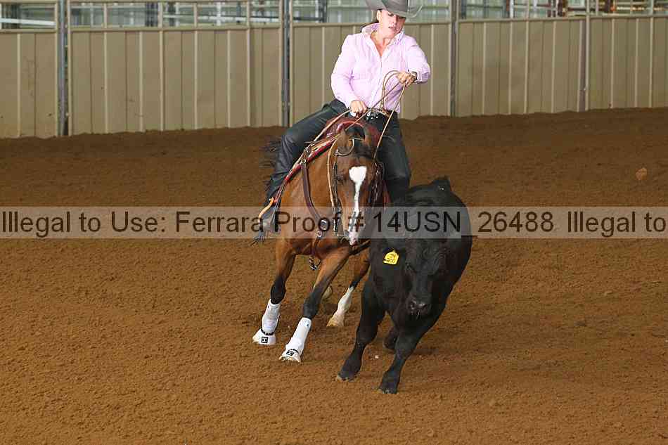 Proof 14usn_26488